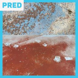 cistenie-plaveckeho-bazena-pred-02